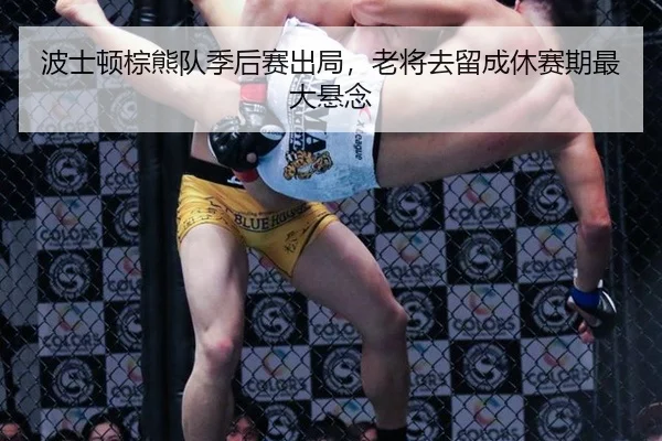 波士顿棕熊队季后赛出局，老将去留成休赛期最大悬念