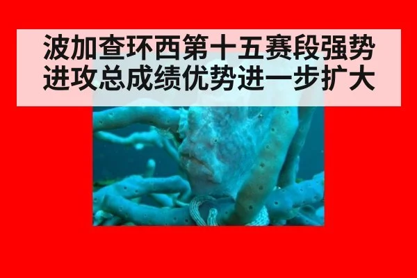 波加查环西第十五赛段强势进攻总成绩优势进一步扩大