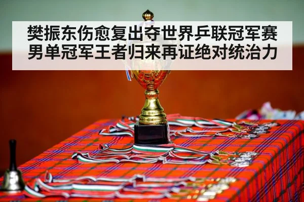 樊振东伤愈复出夺世界乒联冠军赛男单冠军王者归来再证绝对统治力